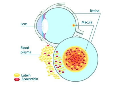 product-1-1 product-1-1