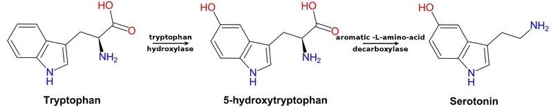 product-1-1 product-1-1