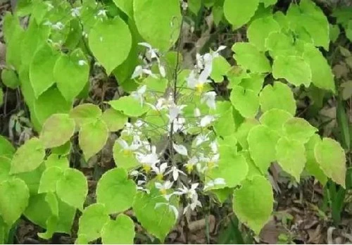 product-1-1 product-1-1