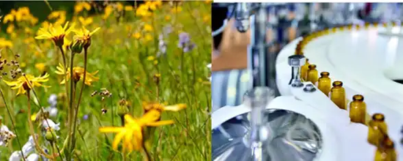 product-1-1 product-1-1