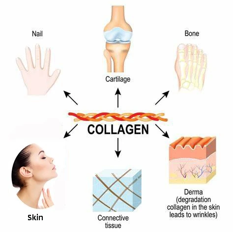 product-1-1 product-1-1