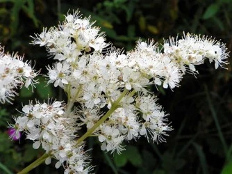 product-1-1 product-1-1