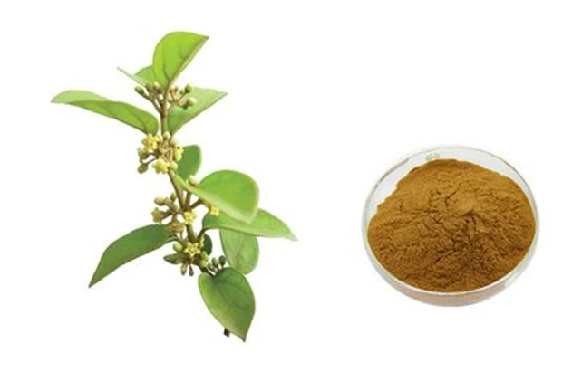product-1-1