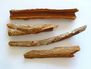 product-1-1 product-1-1