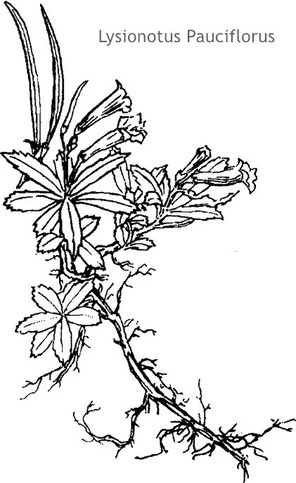 product-1-1 product-1-1