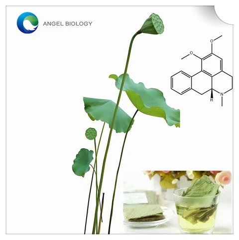 product-1-1 product-1-1