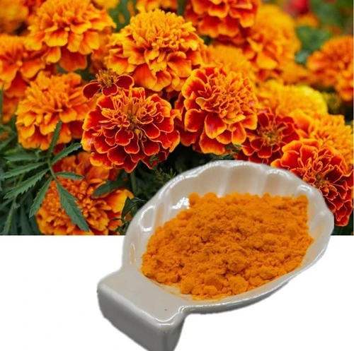 product-1-1 product-1-1