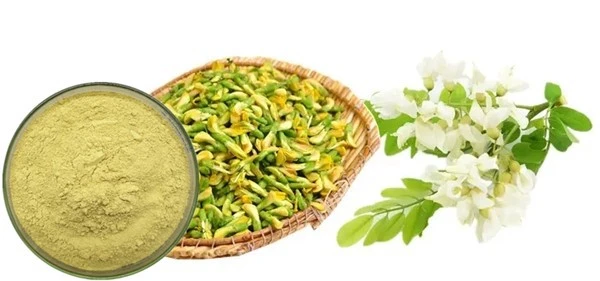 product-1-1 product-1-1