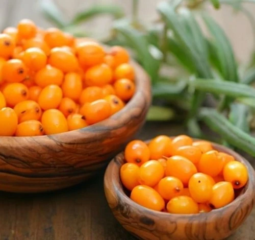 product-1-1 product-1-1