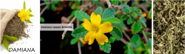 product-1-1 product-1-1