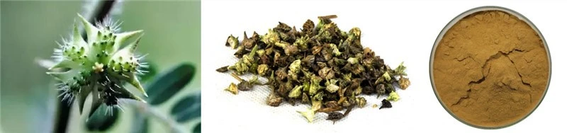 product-1-1 product-1-1