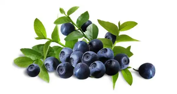 product-1-1 product-1-1