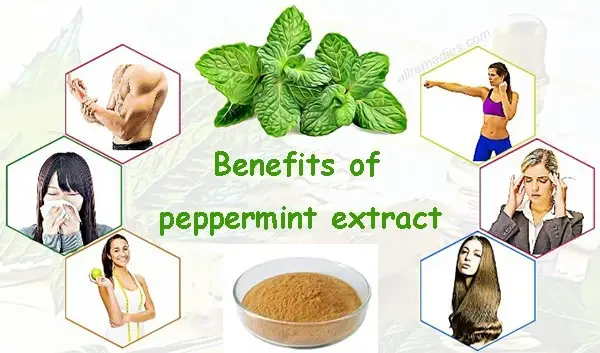 product-1-1 product-1-1