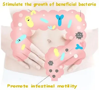 product-1-1 product-1-1