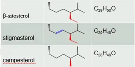 product-1-1 product-1-1