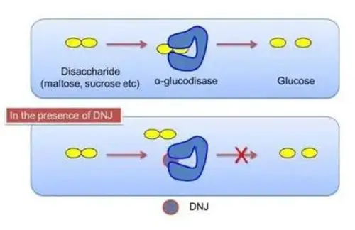 product-1-1 product-1-1