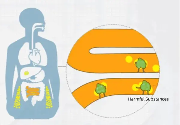 product-1-1 product-1-1