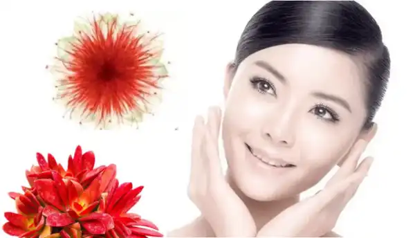 product-1-1 product-1-1