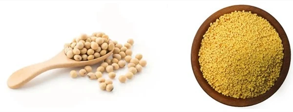 product-1-1 product-1-1