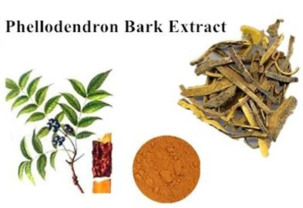 product-1-1 product-1-1