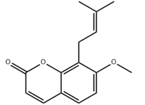 product-1-1 product-1-1