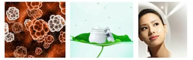 product-1-1 product-1-1