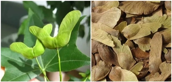 product-1-1 product-1-1