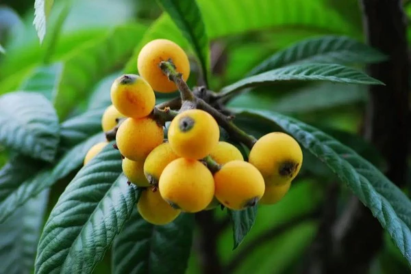 product-1-1 product-1-1