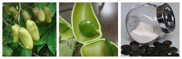 product-1-1 product-1-1