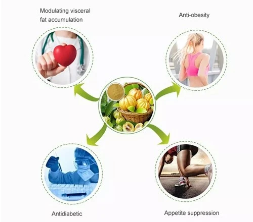 product-1-1 product-1-1