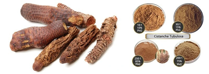 product-1-1 product-1-1