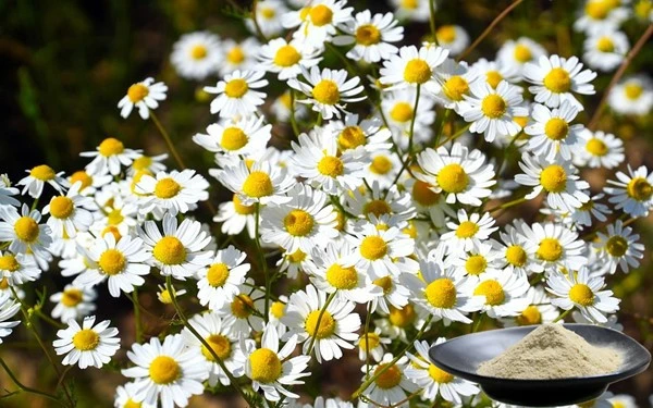 product-1-1 product-1-1