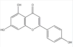 product-1-1 product-1-1