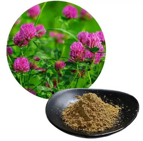 product-1-1 product-1-1