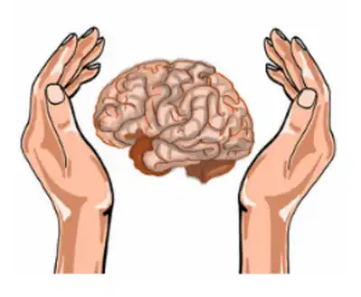 product-1-1 product-1-1