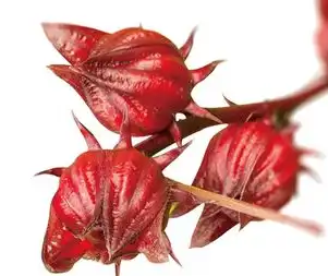 blog-1-1