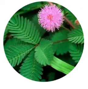 blog-1-1
