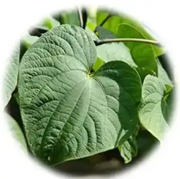 blog-1-1 blog-1-1