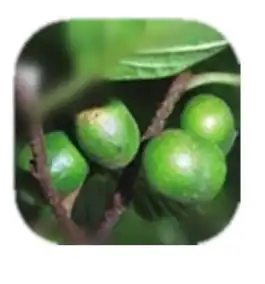 blog-1-1 blog-1-1