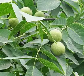 blog-1-1 blog-1-1