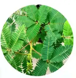 blog-1-1 blog-1-1