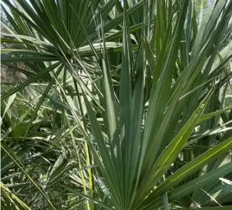 blog-1-1