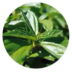blog-1-1 blog-1-1