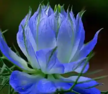 blog-1-1