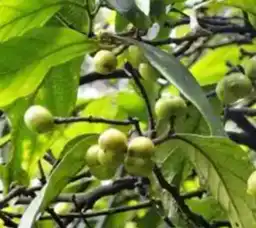 blog-1-1 blog-1-1