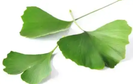blog-1-1