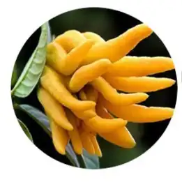 blog-1-1