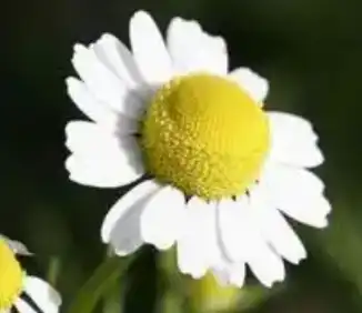 blog-1-1 blog-1-1