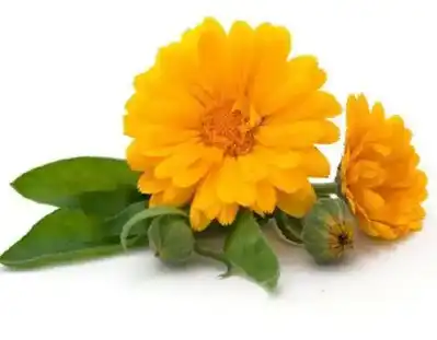 blog-1-1