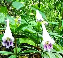 blog-1-1